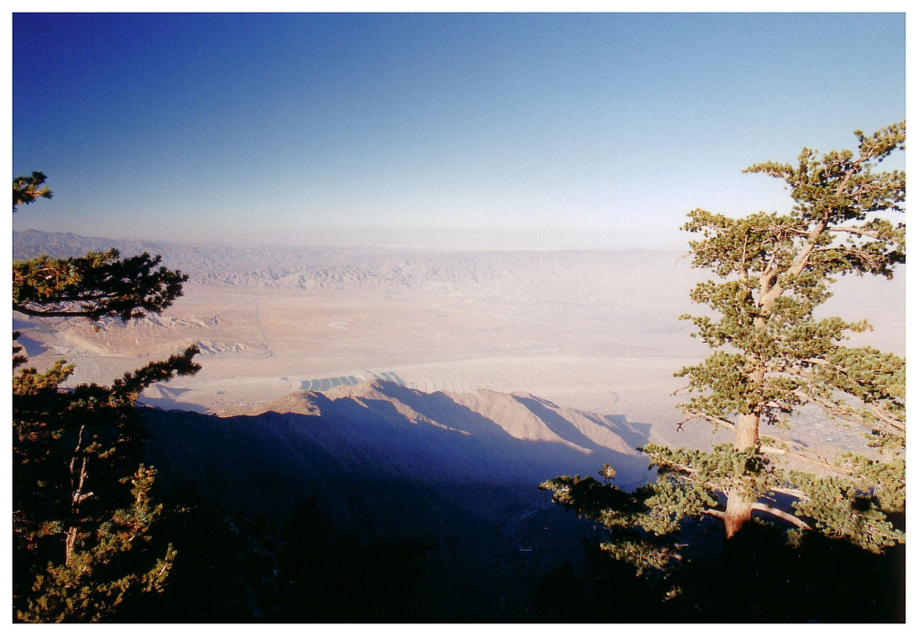 12 - Palm Spring (7).jpg